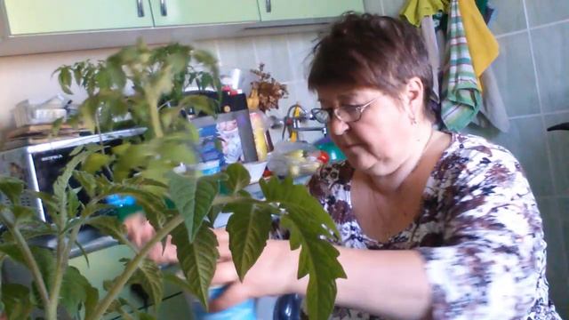 Как замедлить рост рассады смотреть онлайн