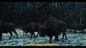 Заповедники и национальные парки. Путешествие по России.