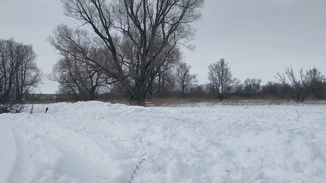 Прыжки на снегоходах 23.02.2020 мотосалон Вне Дорог смотреть онлайн