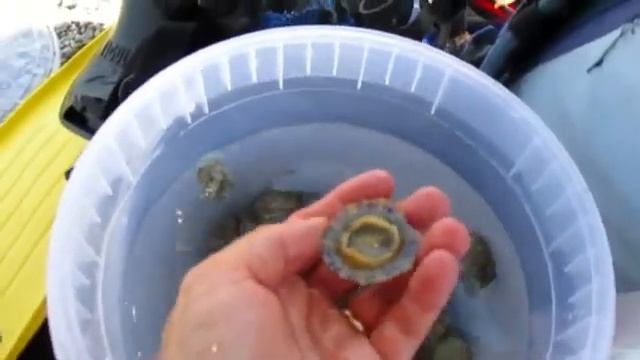 Сицилия. Тирренское море. Воскресный отдых.