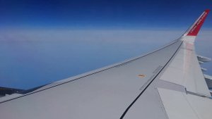 Калининград - Москва. Уральские авиалинии. Airbus A321 neo.