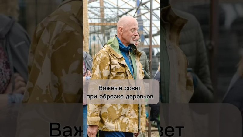 Важный совет при обрезке деревьев.