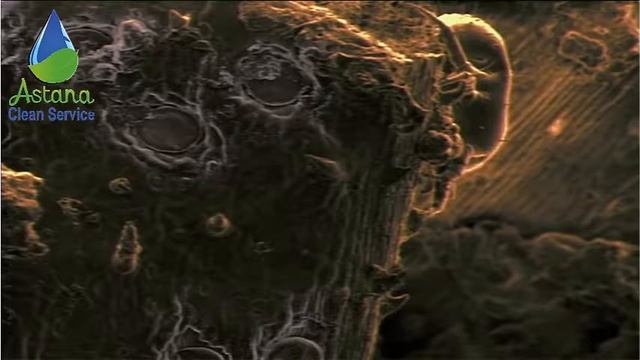 Опасность пылевых клещей. | Борьба с клещами в Астане смотреть онлайн