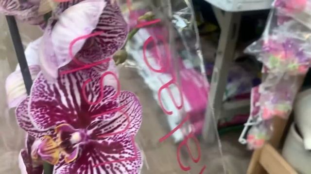 ОБИ Теплый стан Москва 18.07.23 смотреть онлайн