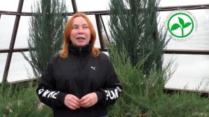 Жукова Надежда Ивановна   о курсе оздоровления в центре Устиновой О.И.