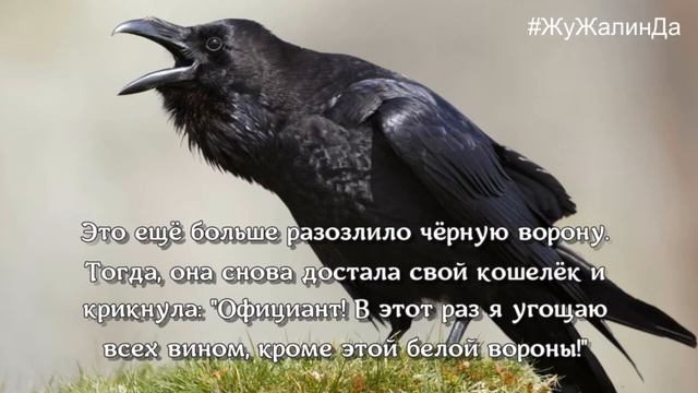 Притча о том, как не попасть в глупую ситуацию. #притчи #мудрость #зависть смотреть онлайн