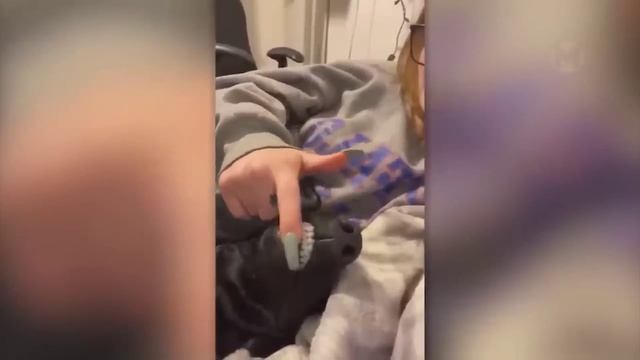 мартышка спор с мартышкой