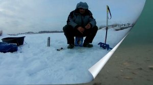 Мотыль или мормыш? Подводная съемка. Тестирую прикорм.