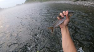 Рыбалка на прижимах. Река Анюй.