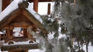 НОВОГОДНЯЯ МУЗЫКА ✨10 часов