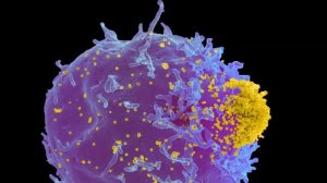 Микромиры и макромиры.