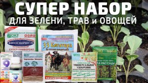 Секрет получения богатого урожая зелени, трав и овощей на подоконнике – в уникальной биотехнологии