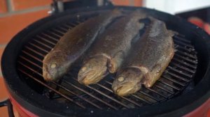 Копченая форель в керамическом гриле Kamado Joe