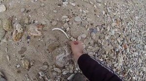 Зимняя ловля бычка на Черном море.Находки после шторма.