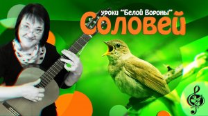 "Соловей". Базовый уровень. Разбор.