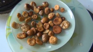 Гриб ДОЖДЕВИК. Как готовить дождевики. Как приготовить дождевики. ? Гриб Грибы Рецепт Рецепты Тайга