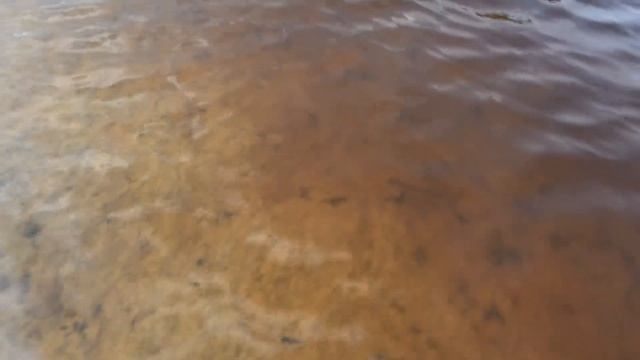 ГОЛОДНЫЕ НЕ БУДЕМ ! САЛО ЕСТЬ ,КАРТОШКА ЕСТЬ ! смотреть онлайн