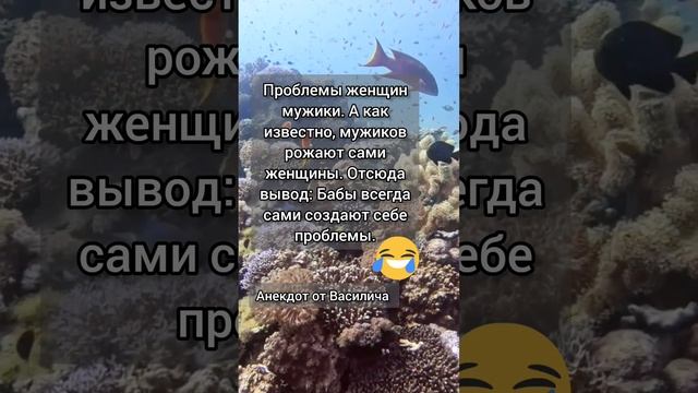 Анекдот от Василича Подпишись, дальше будет очень смешно #анекдот #анекдотдня #анекдотизжизни