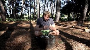 С палаткой в Абхазии. Готовим мидии на костре в Абхазии.