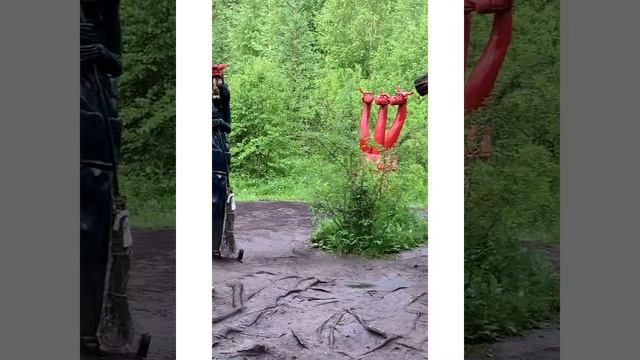 Я это видела!!! Это невозможно забыть! Гейзеровое озеро. Алтай.