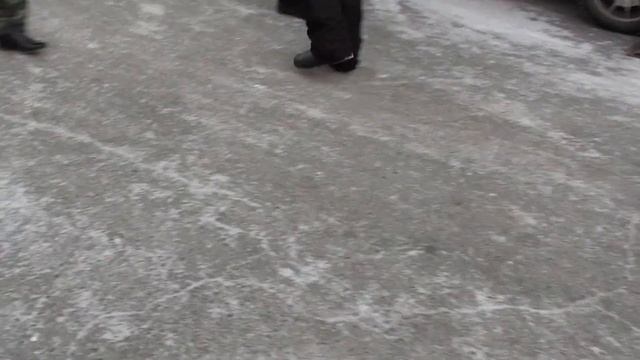 ВЫСТАВКА-ЯРМАРКА ДОМАШНИХ ГОЛУБЕЙ В г. ОРЕНБУРГЕ 07.02.2021 г.