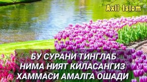 НИЯТЛАР АМАЛГА ОШИШИ УЧУН КУЧЛИ ДУО