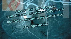 Щелочная фосфатаза повышена, понижена, норма в крови у женщин, мужчин: что это, причины