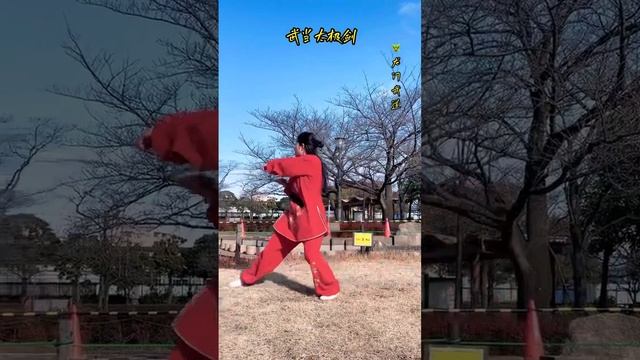 Полная демонстрация формы 49 позиций уданского меча великого предела (удан тайцзи цзянь) / 49式武当太极