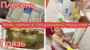Мотивация на уборку! Как отмыть лоток в стиральной машинке от порошка?
