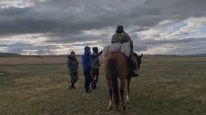 Алтай 2023 Плато Укок