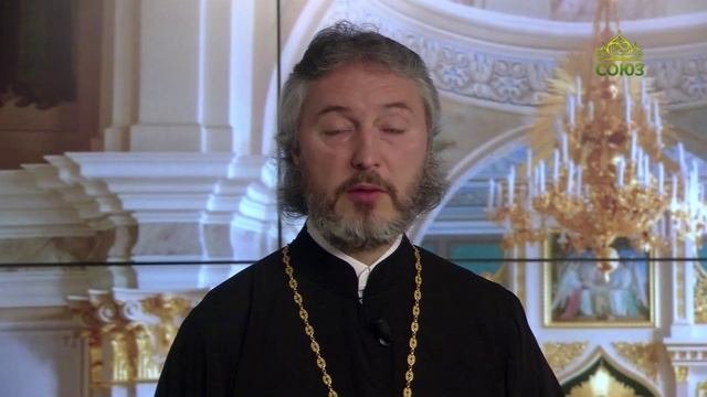 Церковный календарь 9 мая. Преподобный Иоанникий Девиченский