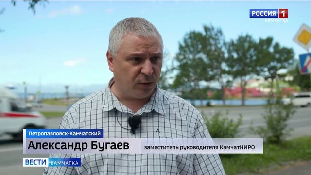 На реках Авача и Паратунка отложили рыбалку || Вести-Камчатка