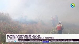 МИР, Рост площади ландшафтных пожаров в России, 23 апреля 2024