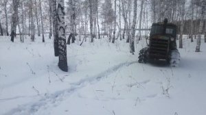 Дт-75 трелюет.(2)