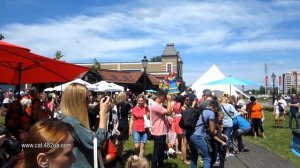 2 Третий ежегодный парад Джек Рассел, 2 июня, Аутлет городок Мануфактура, под Киевом, 2019