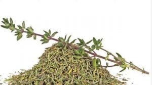 ПОЛЬЗА ЧАБРЕЦА   /   ПОЛЕЗНЫЕ СВОЙСТВА