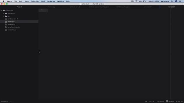 Terraform Deploy Lambda Function | Terraform IAM Role | AWS Terraform | Terraform Lambda Tutorial смотреть онлайн