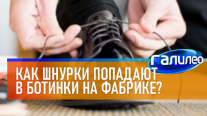 Галилео | 0004 Как шнурки попадают в ботинки на фабрике