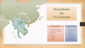 TeeKolleg Online - Modul 1, Lektion 2: Die Teepflanze - Camellia Sinensis und ihre Unterarten