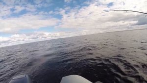 Ладога отчет за Июль 2019 База Горизонт