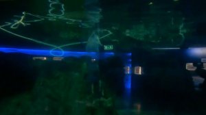 ОКЕАНАРИУМ В ПИТЕРЕ.  2023г  часть 9