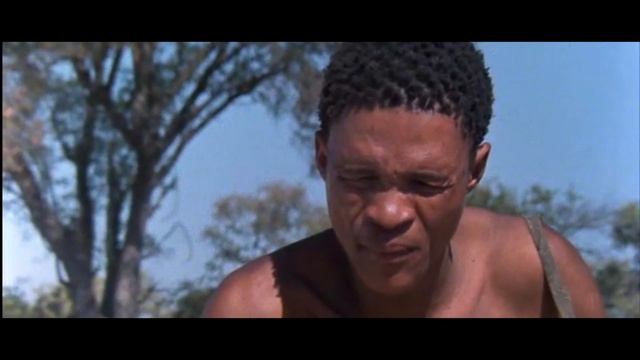 34 Чувственное познание