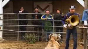 Чудаки. The best of Jackass Part 1