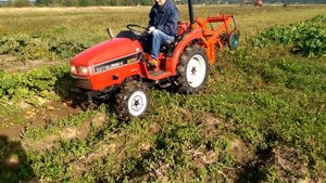 Bulviu kasamoji. Mitsubishi MT 165