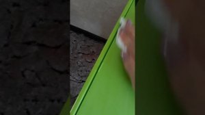 Детский стол Tega baby mamut