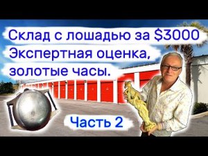 Склад с лошадью за $3000, Часть 2. Экспертная оценка и золотые часы.