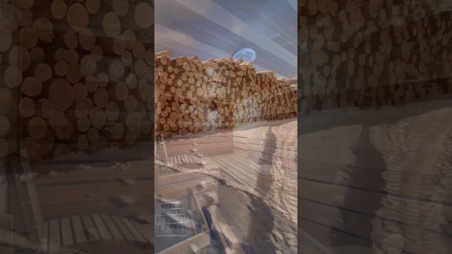 Приехали на производство в Иркутск #вагонка #пиломатериалы смотреть онлайн