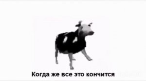 Польская корова - перевод
