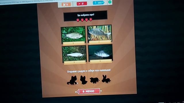 ASMR - Викторина:Что это? Шепот,жвачка смотреть онлайн