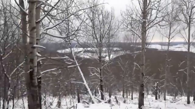 Охота на зайца смотреть онлайн